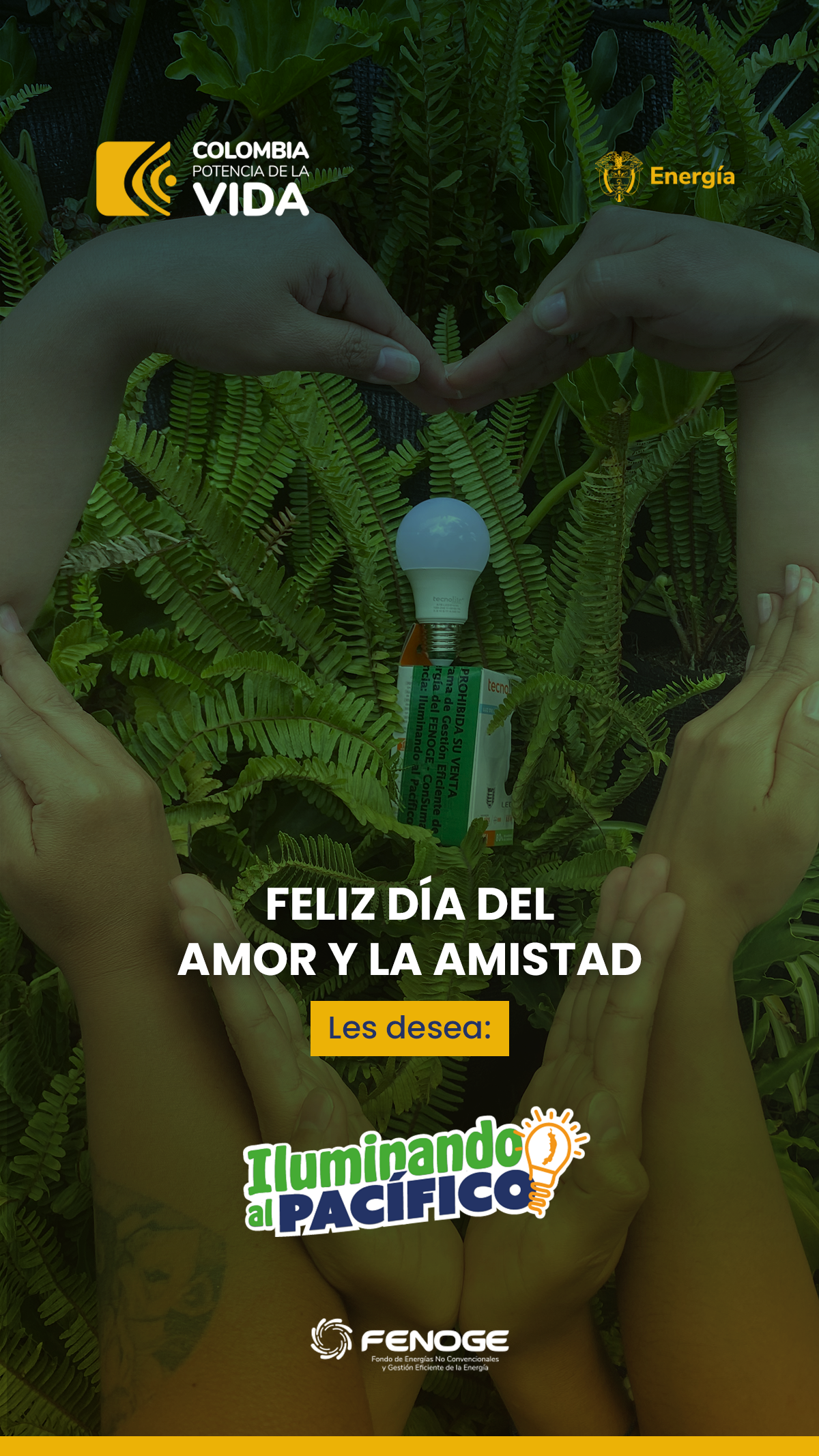 HISTORIA PUBLICACIÓN 6 SEPTIEMBRE