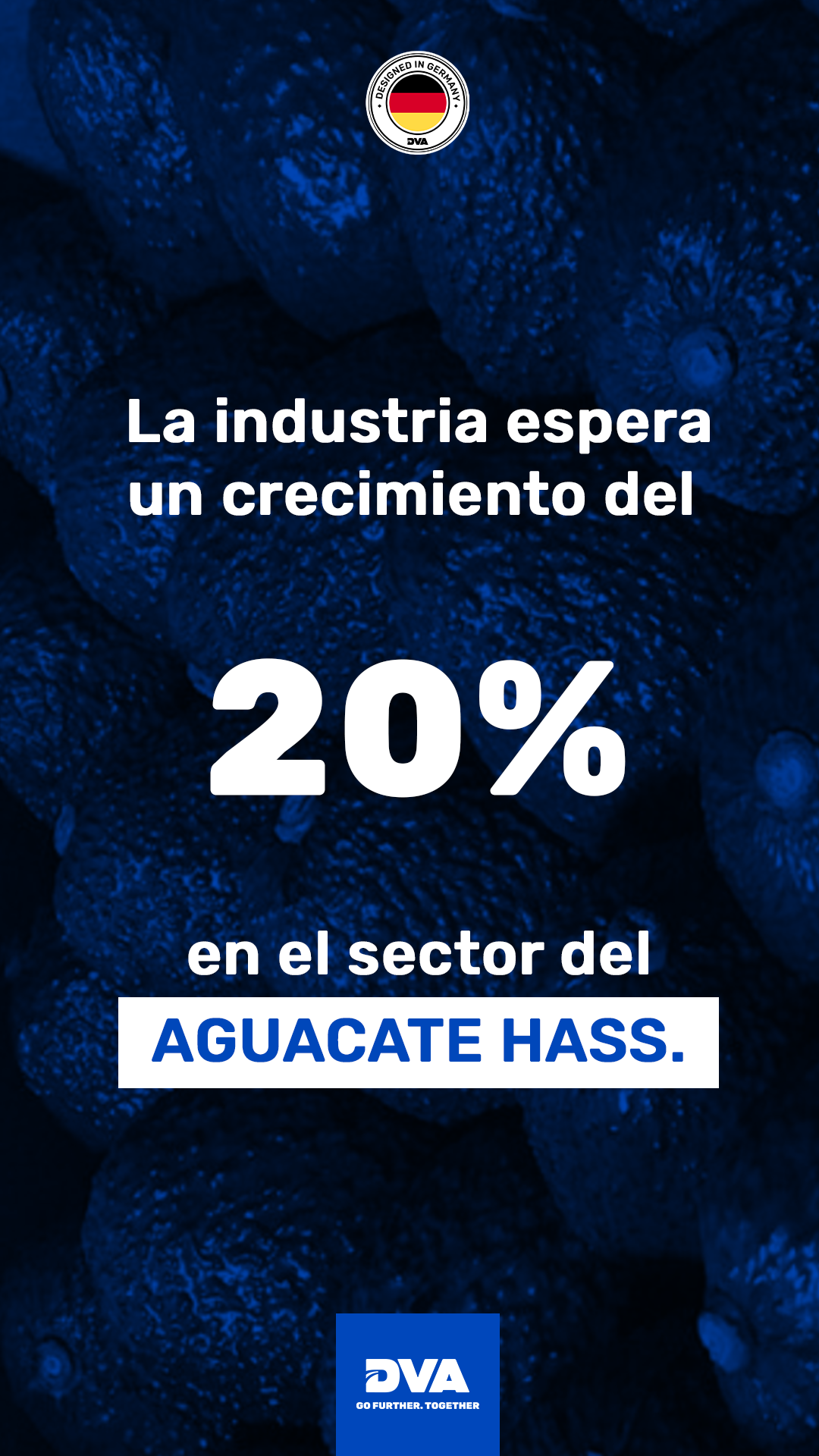 Historias-aguacate_02