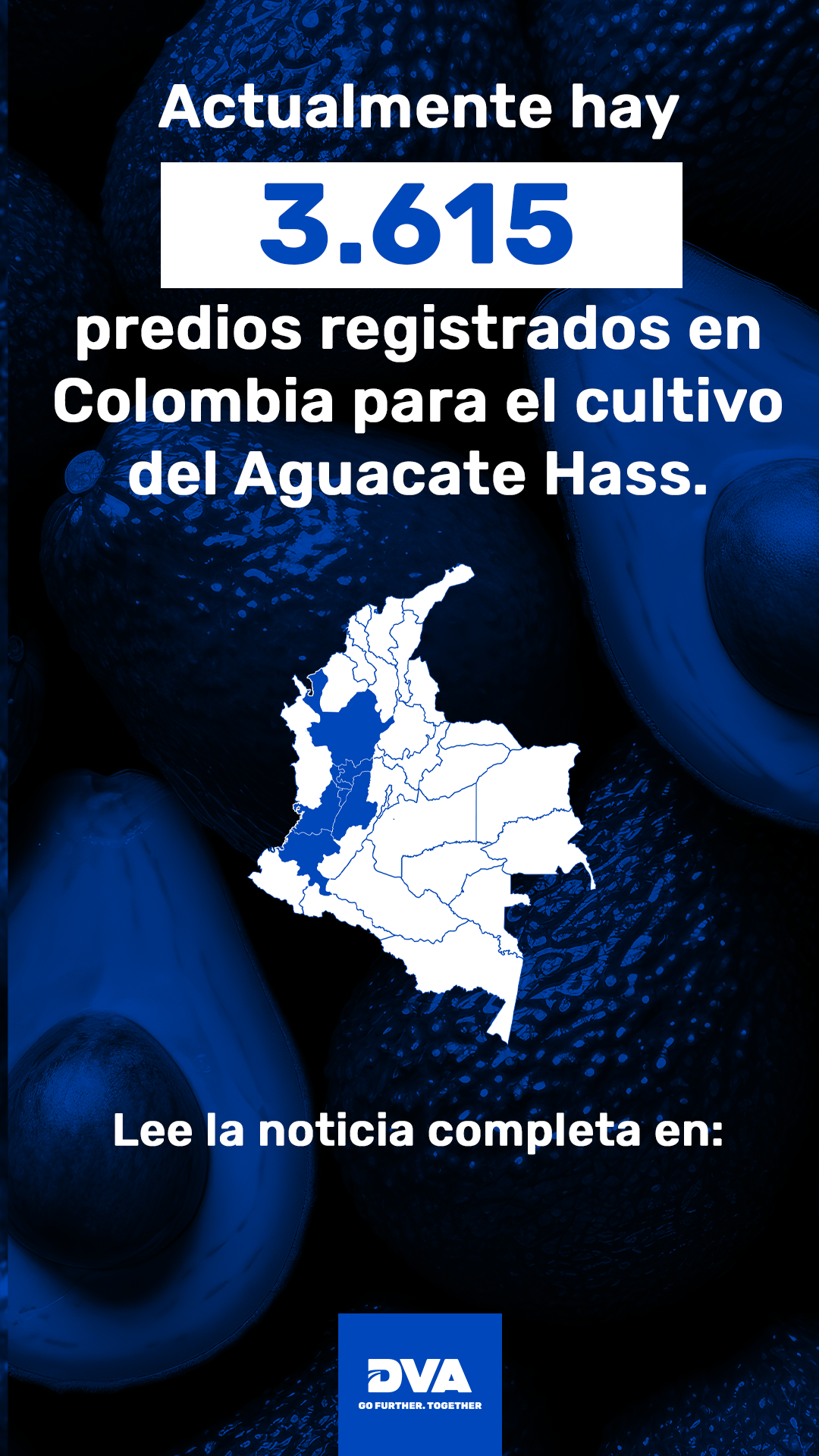 Historias-aguacate_03