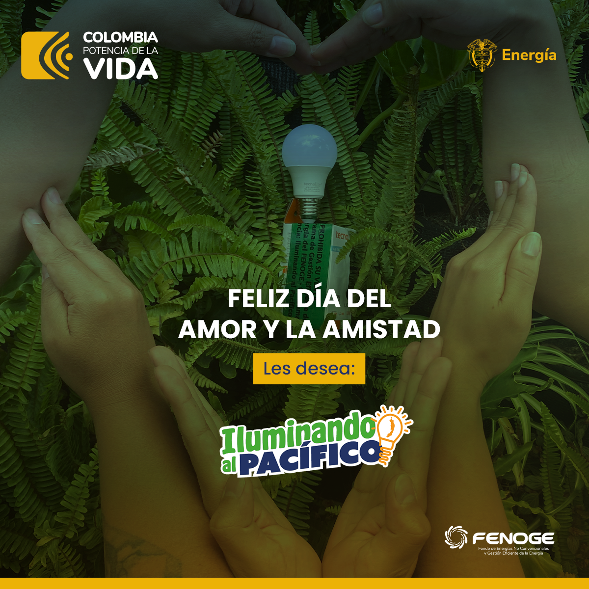 PUBLICACIÓN 6 SEPTIEMBRE