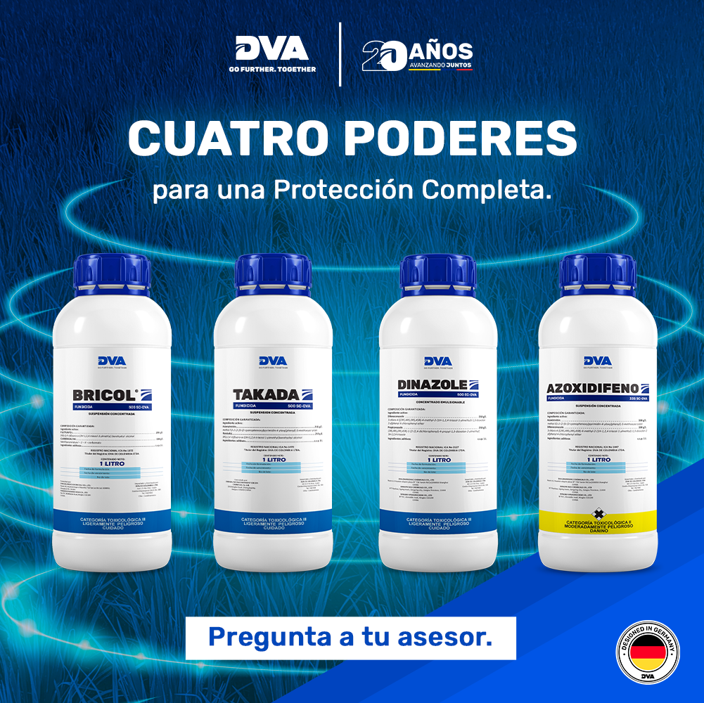 Post 14 de Junio Cuatro poderes