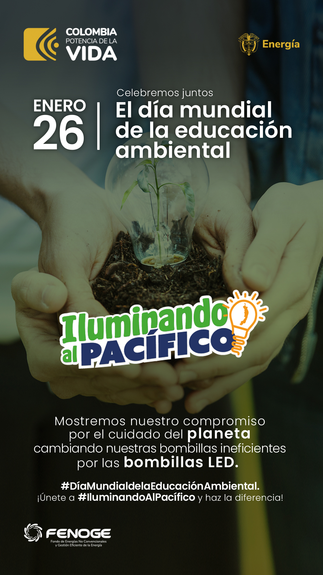 dia de la educacion ambiental02